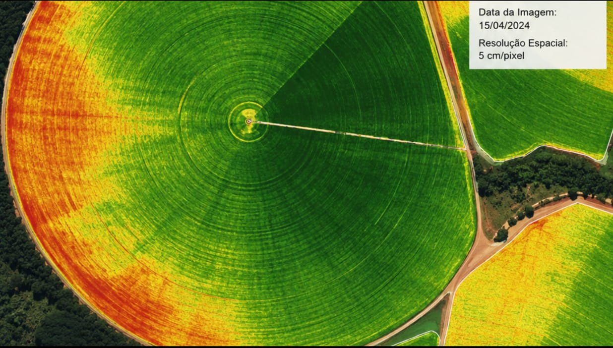 Mapa de vigor vegetativo (NDVI) de lavoura em pivô central