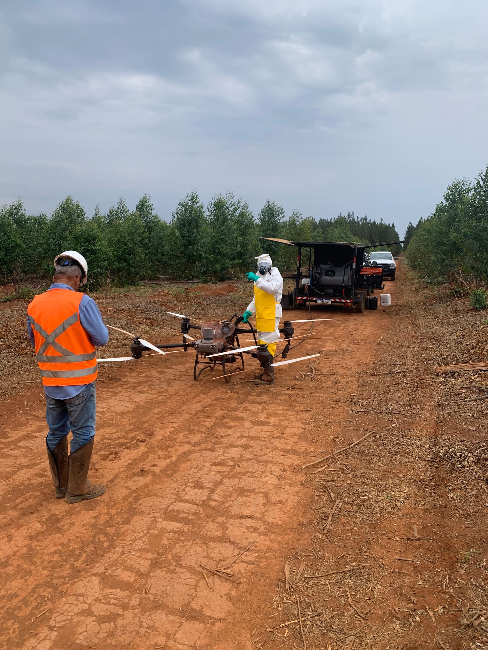 Equipe operando drone de pulverização em plantio florestal de eucalipto
